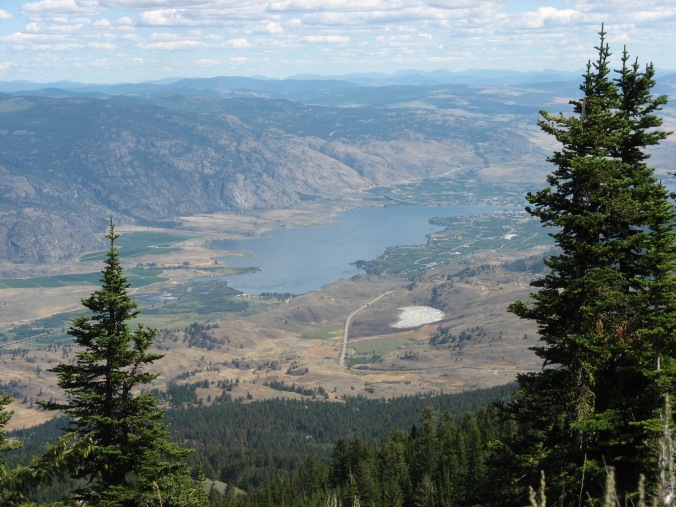 Well worth the trip: the Okanagan Valley from above.