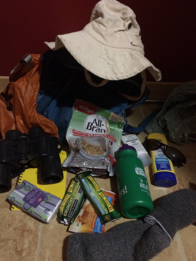 items in my field bag