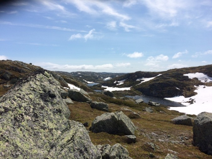 The wide blue skies and open spaces of the arctic-alpine habitat on top of Big Level.